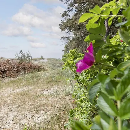 Friis - 200m From The Sea By Interhome